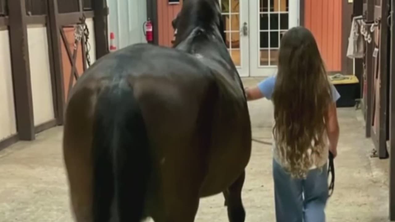 Equinoterapia, una herramienta para el desarrollo de niños con condiciones especiales