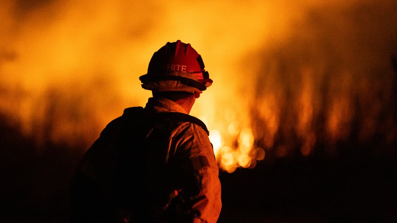 Arrestan a sospechoso de provocar incendio en Griffith Park en pleno fenómeno de vientos de Santa Ana