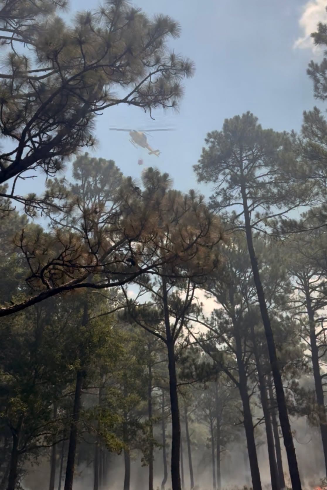 Para ello,
<b> se están utilizando helicópteros que arrojan agua sobre el incendio, además de aviones del Servicio Forestal. </b>
<br>
<br>
<b>También participan camiones de bomberos y equipo especializado de extinción en la zona afectada.</b>