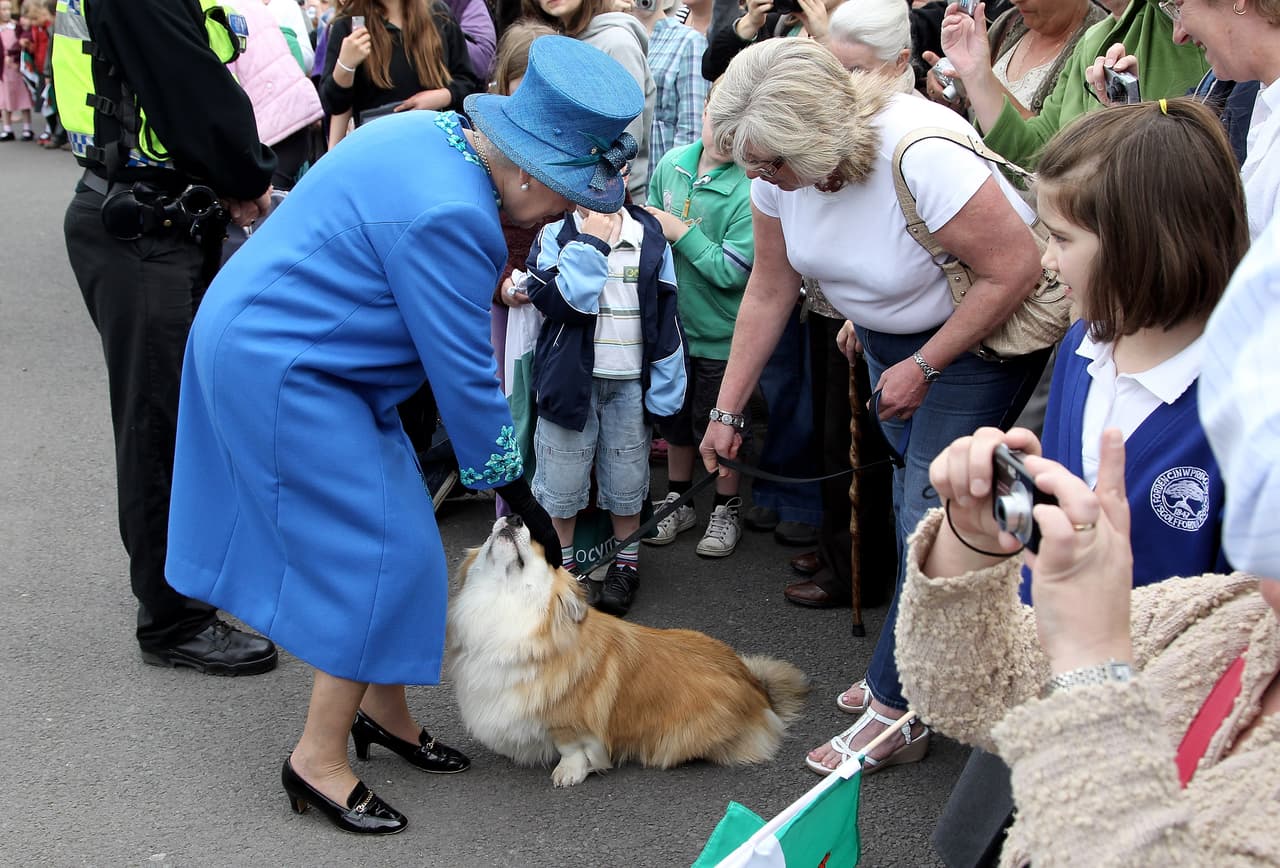 Su Majestad se encuentra con un corgi llamado Spencer en una estación de tren el 28 de abril de 2010 en Welshpool, Gales. Después de la muerte de su corgi Willow, en 2018, se informó que la reina no tendría más perros. 
<br>
<br>