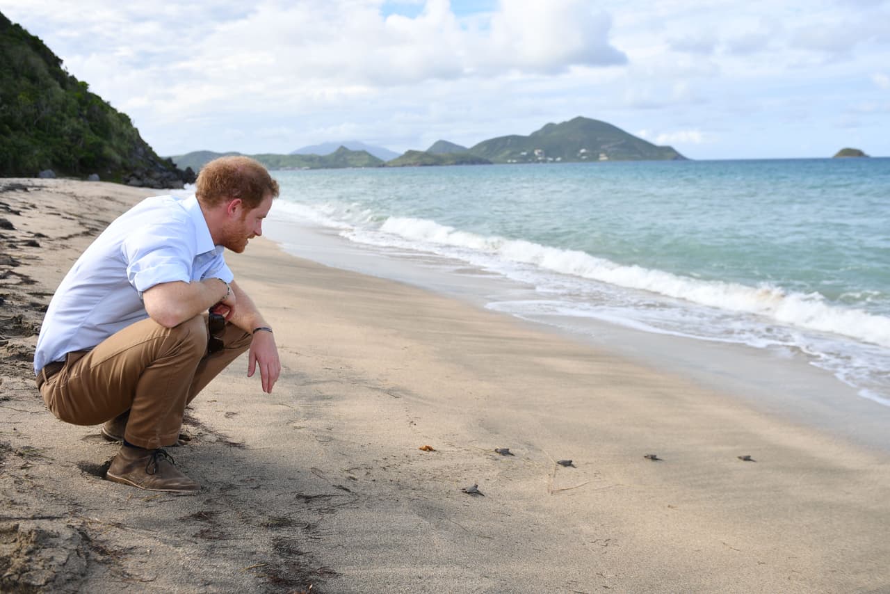 Te retamos a que no suspires y hagas "Awww!" con estas lindas imágenes.