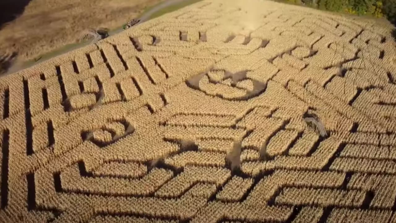 <a href="https://abbeyfarms.org/pumpkin-daze/" target="_blank">Abbey Farms </a>está ubicada en Aurora. Además de recorrer el laberinto, tiene varias actividades que puedes disfrutar con la familia. En su página web puedes encontrar los horarios, y precios.