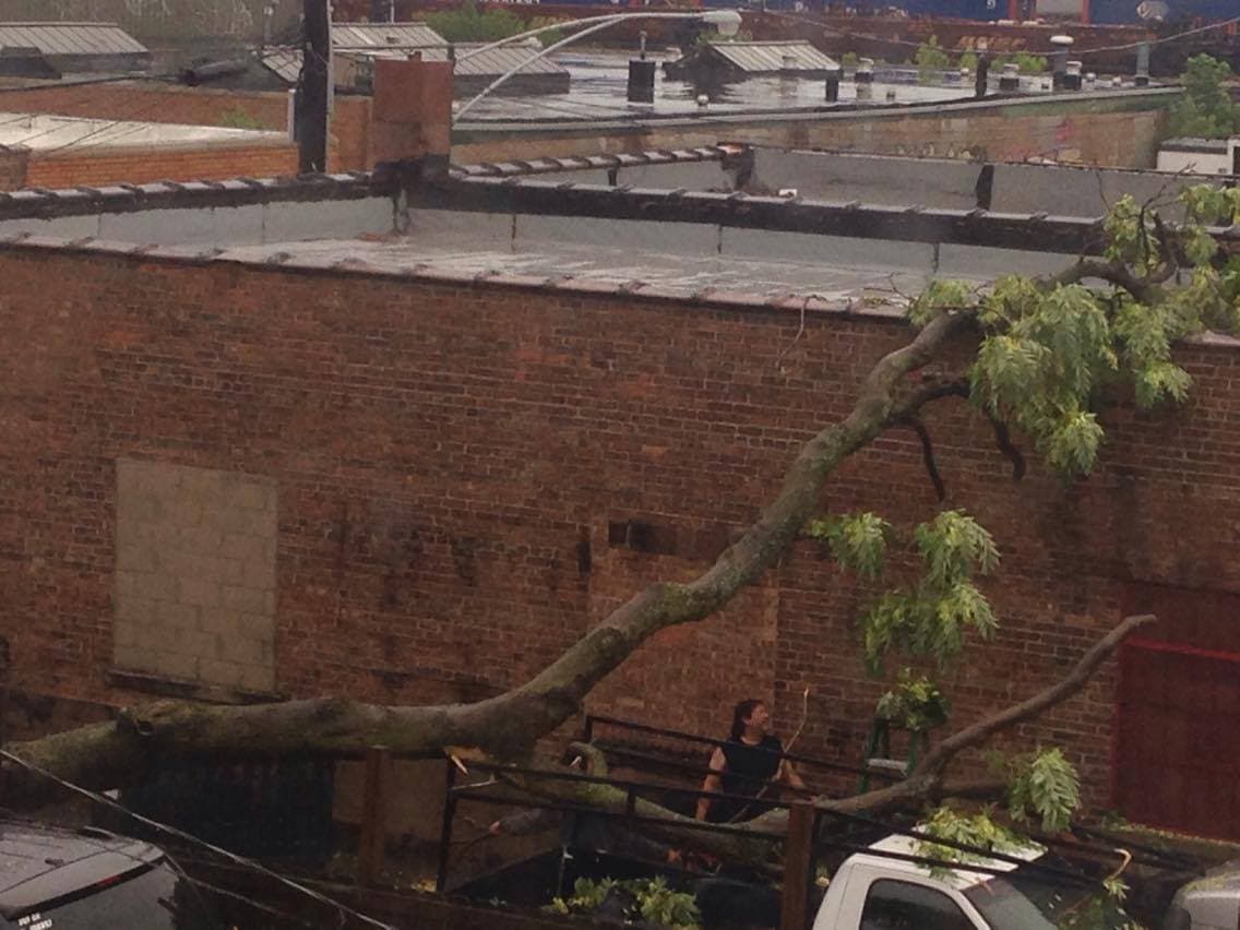 Árbol caído en el 2308 East de la 59th St