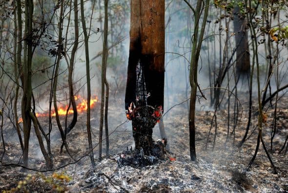 El sobresalto del reporte en gran medida se debe al incremento registrado en la media de los desastres naturales que era de 615. Por otro lado, la sequía en Etiopía dejó 300,000 muertos