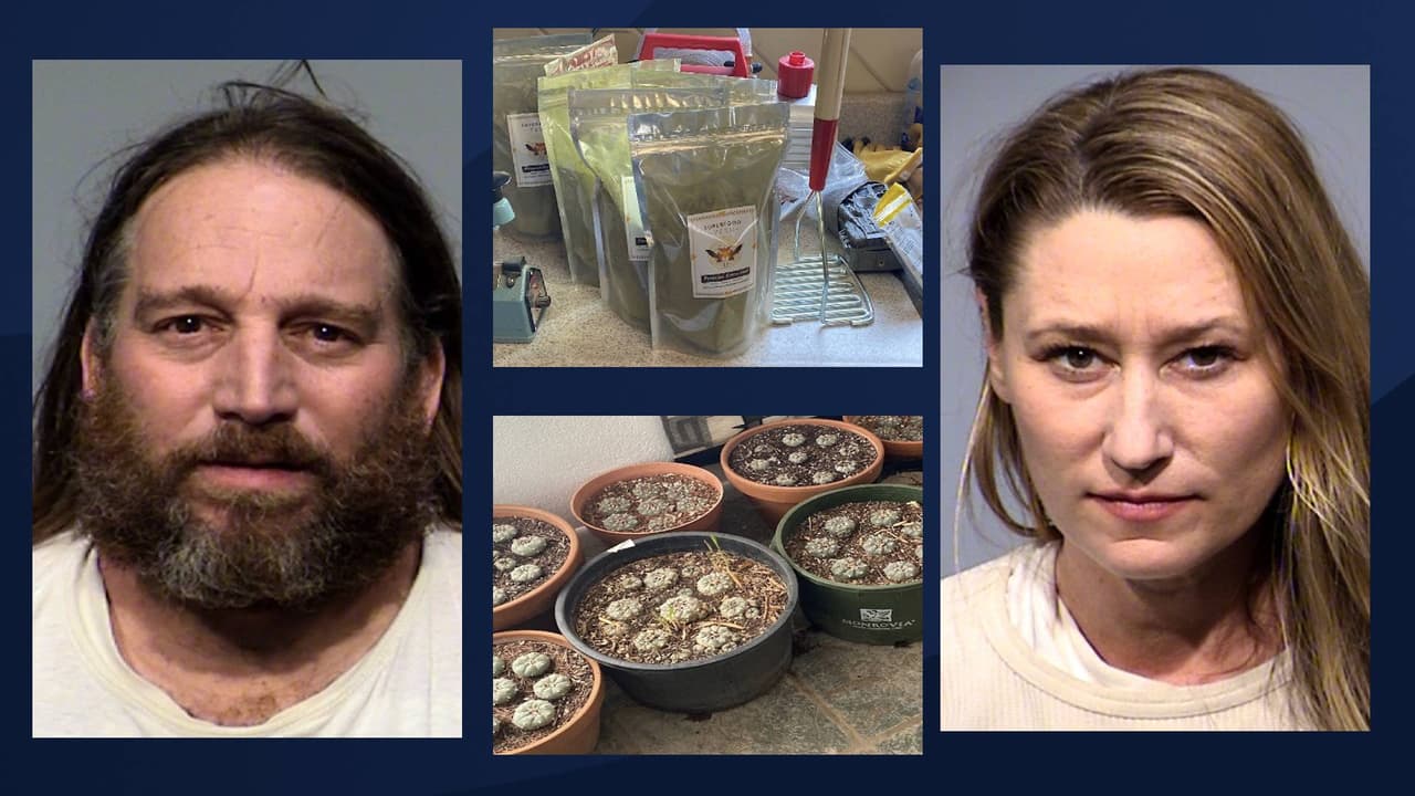 Detectives del sector de 
<i>Compañeros contra el narcotráfico</i> (PANT, pos sus siglas en inglés) arrestó a Adam Dearmon, de 49 años, con varios delitos relacionados con drogas después de 
<b>que $30,000 en <i>mescalina</i>, una droga psicodélica encontrada en Peyote, </b>fue encontrado dentro de su casa. 
<br>