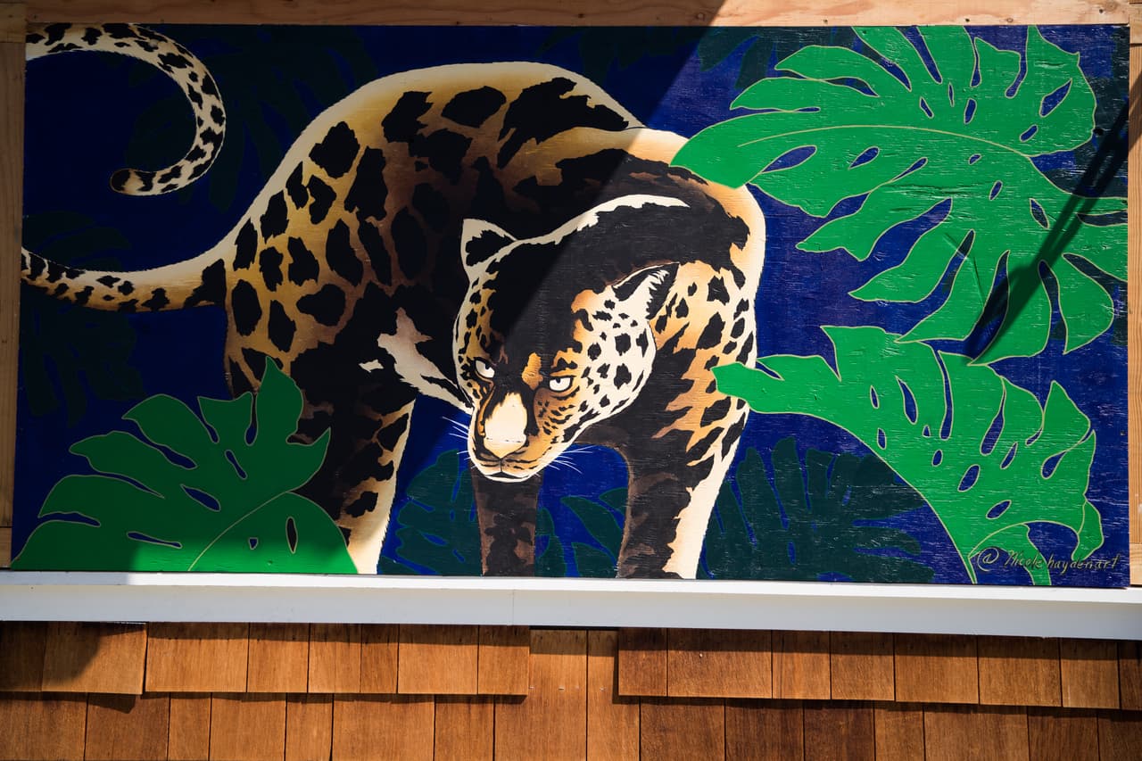 Al igual que muchas familias, durante la pandemia de coronavirus los muralistas enfrentan la cancelación de proyectos, festivales y galerías, lo que los pone en una situación complicada y dificulta el pago de la renta de sus estudios y sus propias viviendas, además de no tener un espacio para ser creativos.