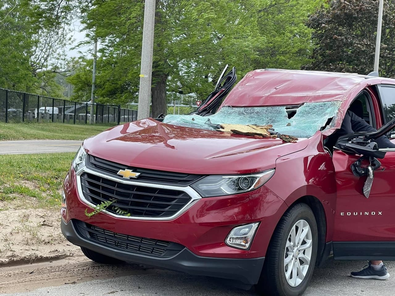 <b><a href="https://www.univision.com/local/chicago-wgbo/gato-sobrevive-tras-saltar-de-un-edificio-en-llamas-en-chicago-video">Los bomberos</a></b> están trabajando para remover el árbol caído. Se le recomienda a la comunidad a explorar otras rutas. Los carros están siendo filtrados por un solo carril al lado derecho de la avenida.