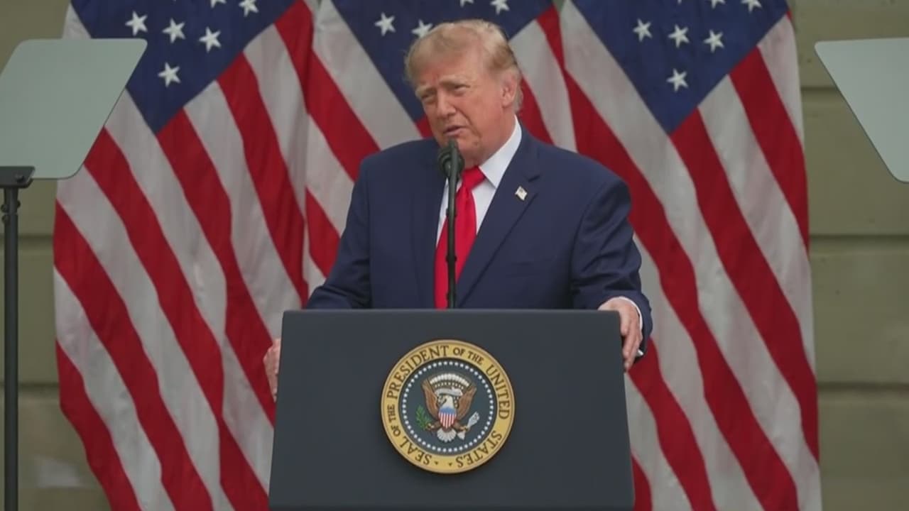 Cae el apoyo hispano a Trump y a los republicanos según encuesta: Profesora de ciencias políticas analiza los números