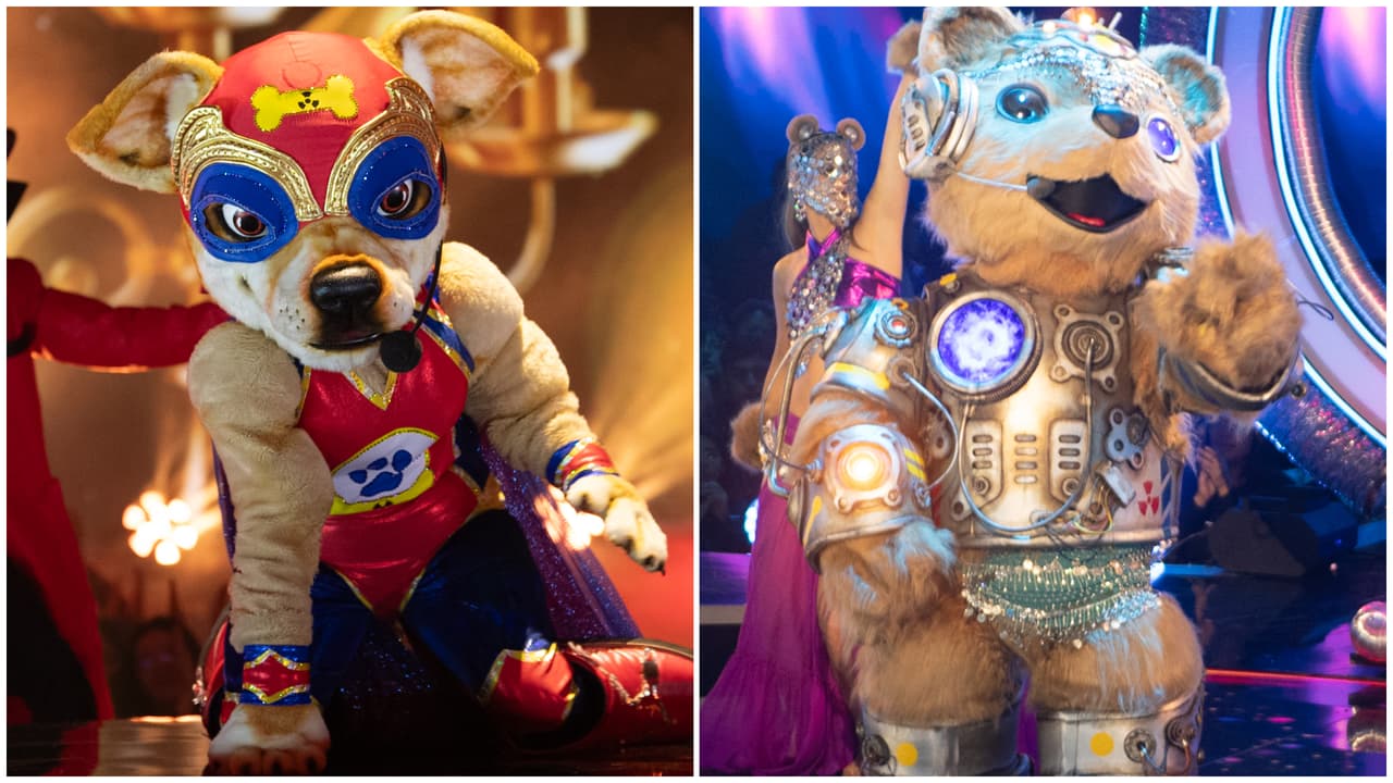 Primer duelo entre Perrito Peligroso y Robotso en la semifinal de ¿Quién Es La Máscara? 2024