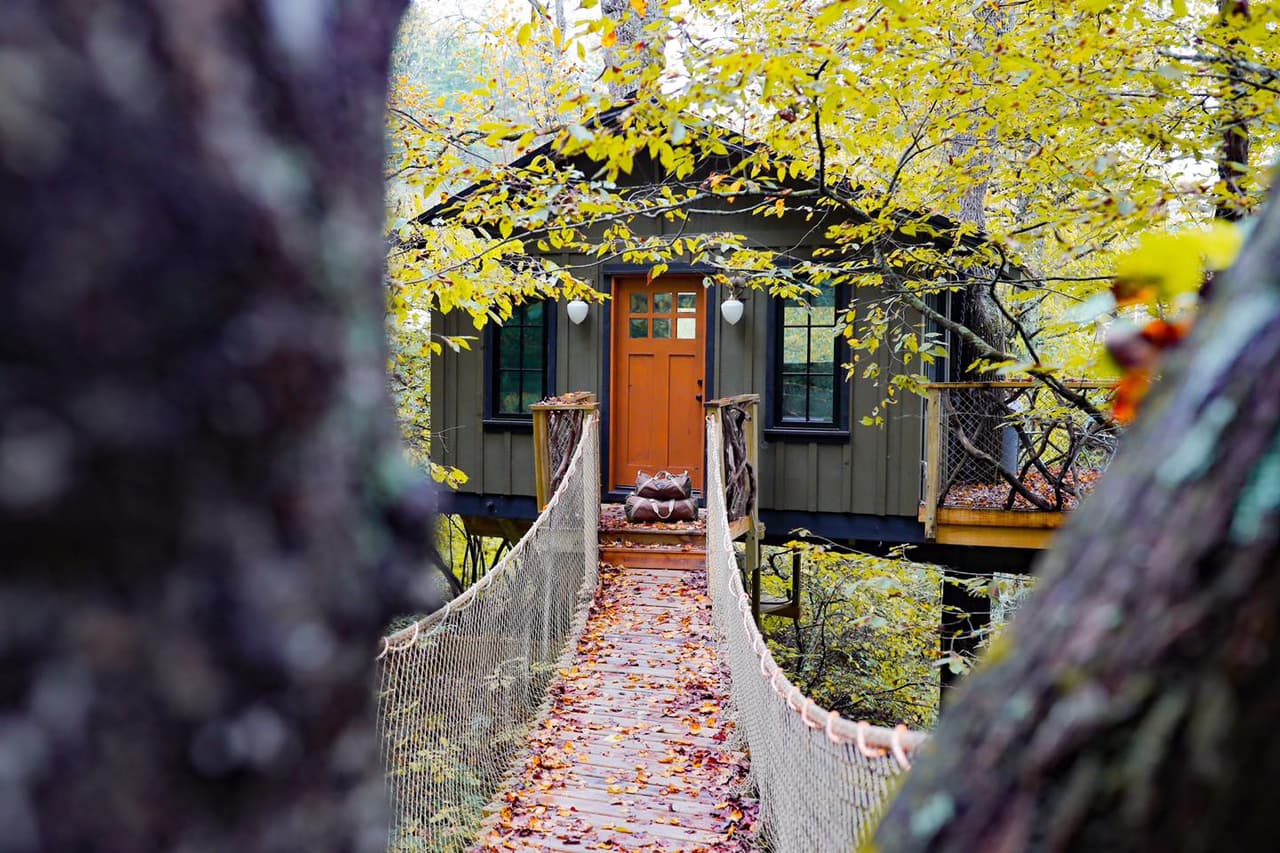 <b><a href="https://www.ashevilleglamping.com/" target="_blank">Asheville Glamping</a></b>: El sitio cuenta con 14 opciones de alojamiento glamorosas, que incluyen carpas de campaña de lujo, una carpa de safari, un remolque antiguo, una 
<b>casa en el árbol</b> solo para adultos y cúpulas impresionantes con camas colocadas debajo de tragaluces, 
<b>perfectas para </b>una noche de
<b> observación de estrellas</b>.