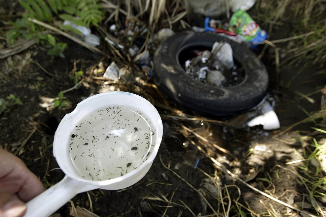 El departamento de salud informa que no hay tratamiento para este virus, sin embargo la mayoría de las personas superan la enfermedad con poca o ninguna intervención médica en unas semanas.