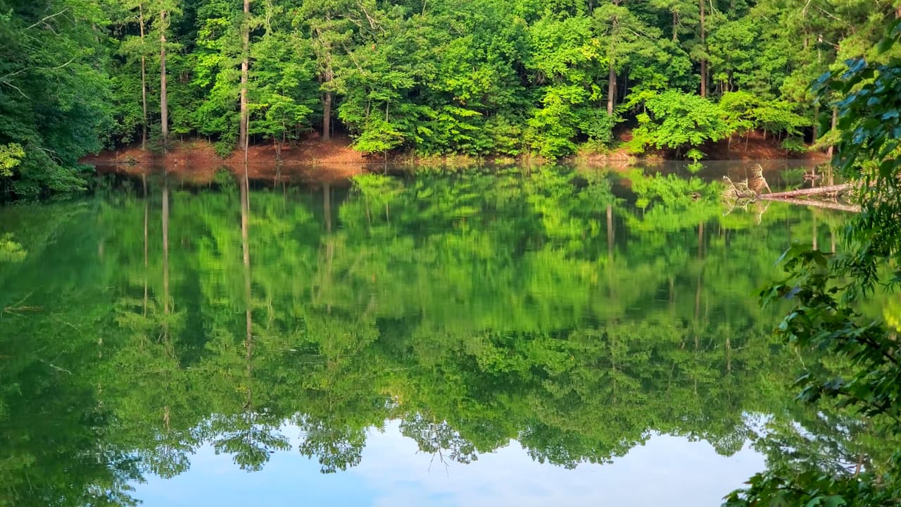 El Iron Hill Trail, por ejemplo, que está entre los más populares para los visitantes, te llevará a recorrer las orillas del lago.