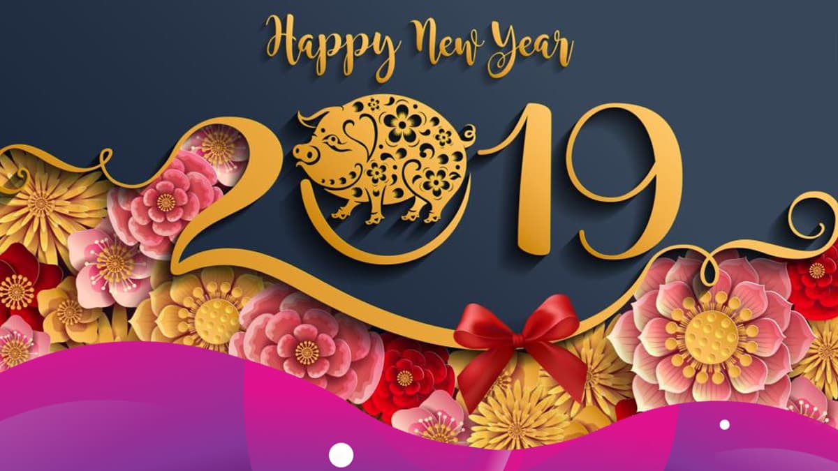 Vete preparando desde ahora para recibir el Año del Cerdo 2019