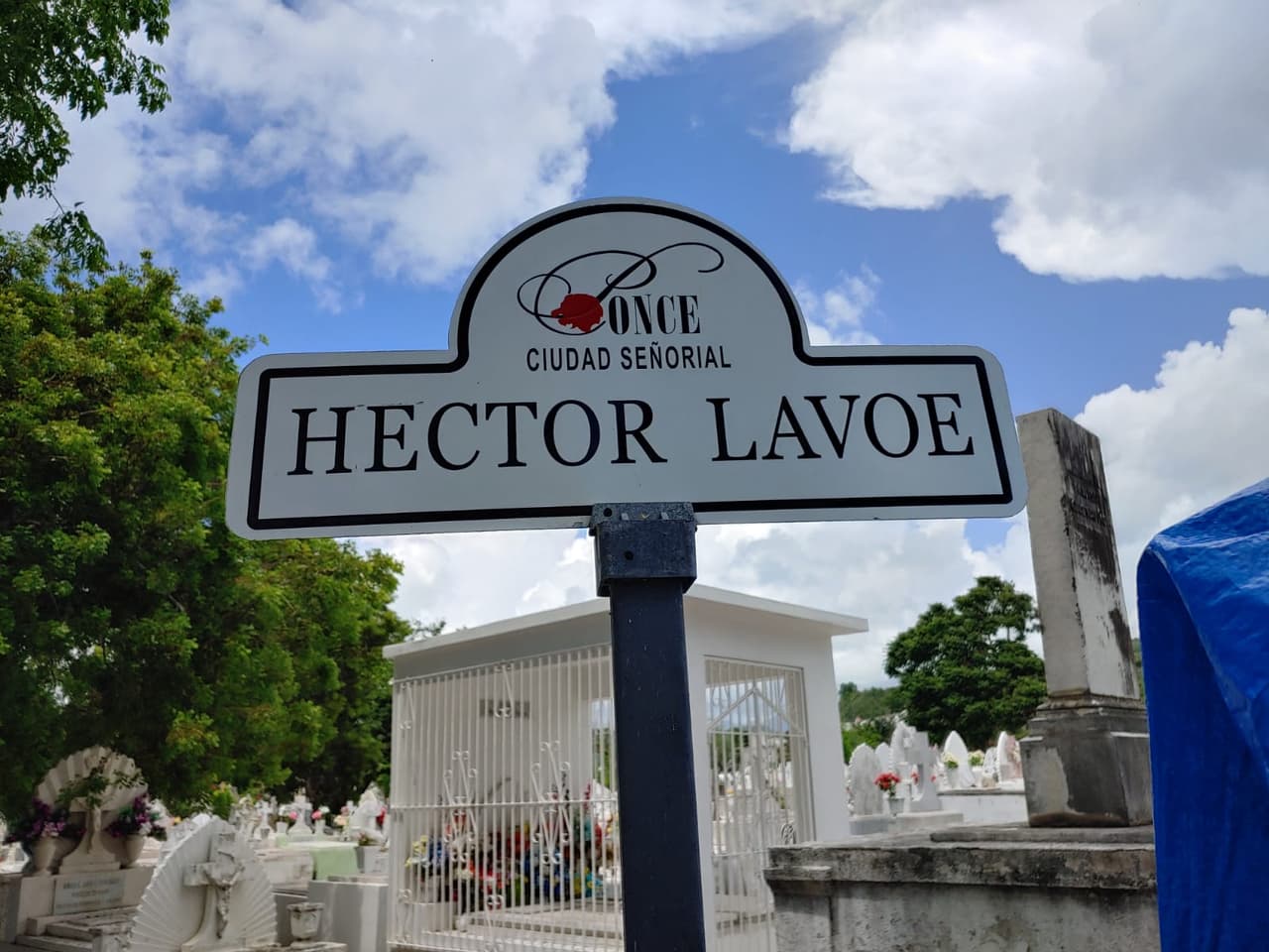 En los sesenta, en los inicios de la Fania cantó junto a artistas como Richie Ray, Adalberto Santiago, Willie Colón y Tito Puente.