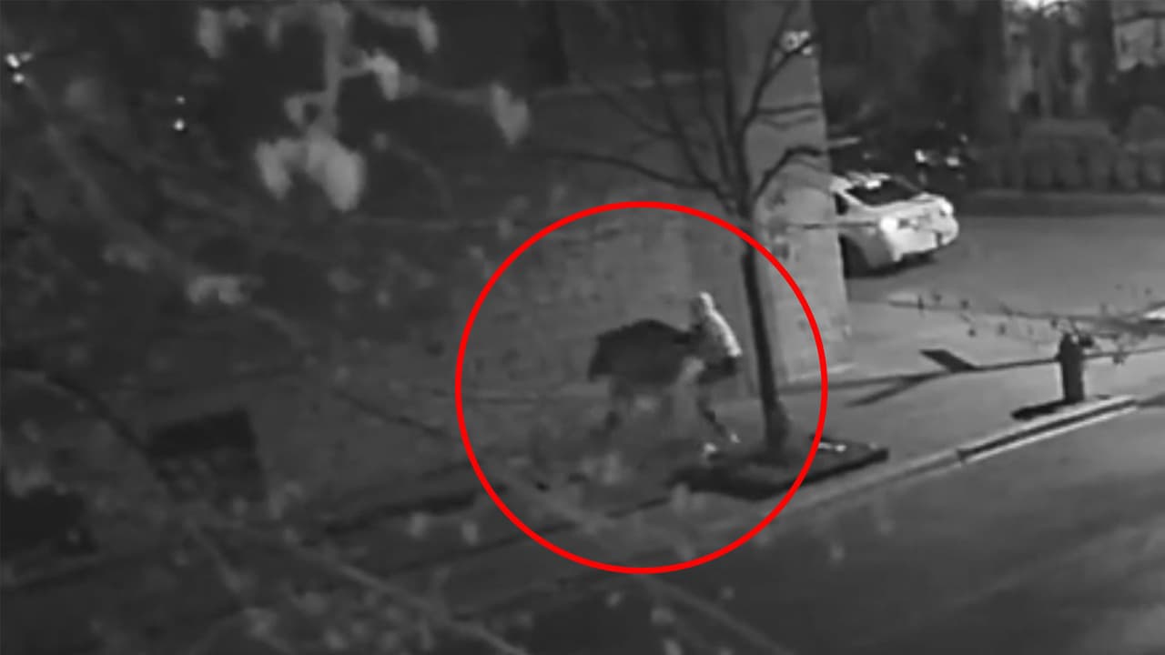 En video: balean a quemarropa a un hombre durante asalto en Lincoln Park