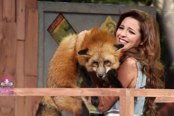 No siempre hubo estrés y pleitos, situaciones cómicas y momentos divertidos también se vivieron, logrando arrancar tremendas carcajadas y risas a cada uno de los integrantes de Nuestra Belleza Latina.