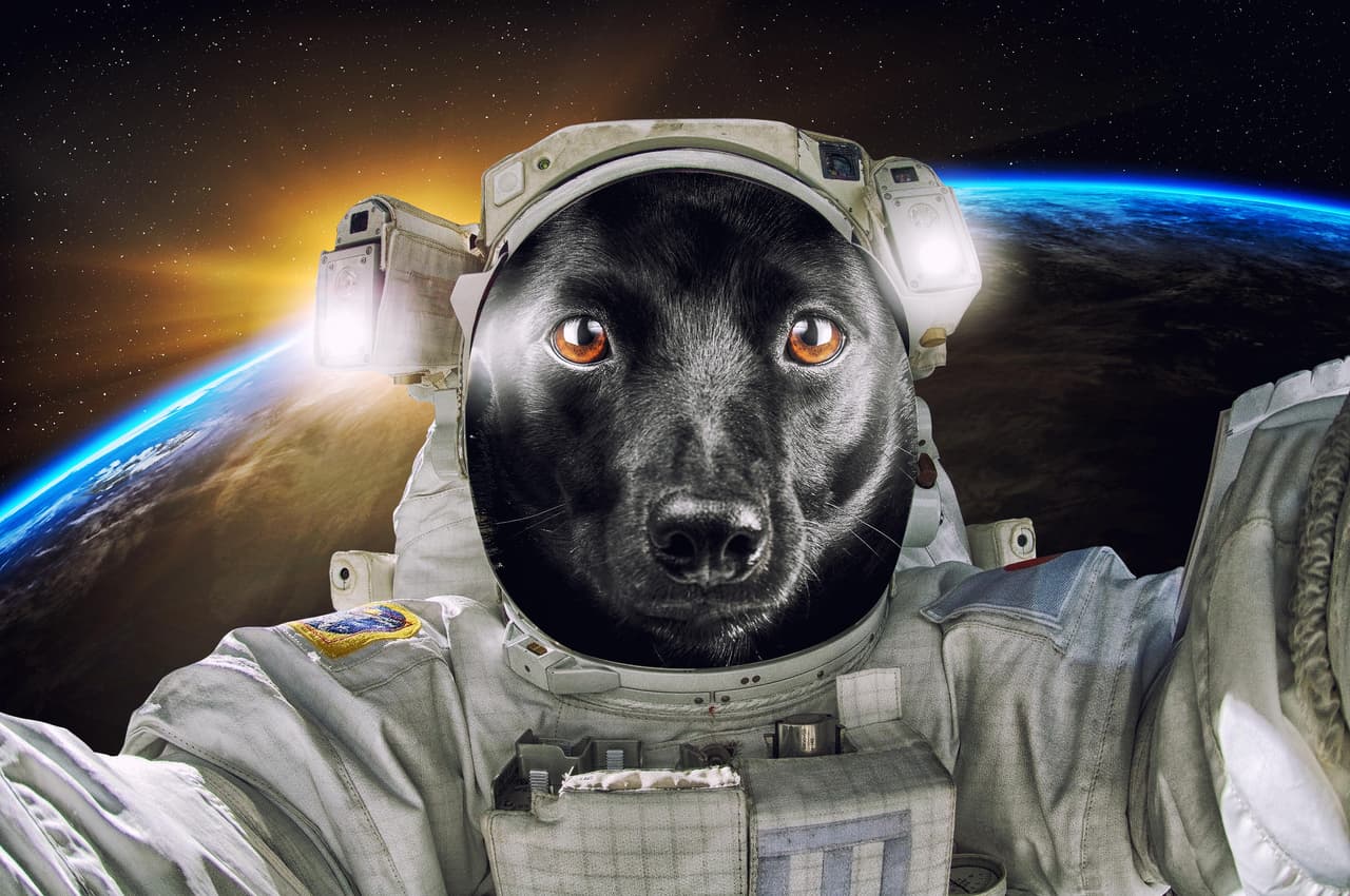 Ilsutración de perrito en el espacio