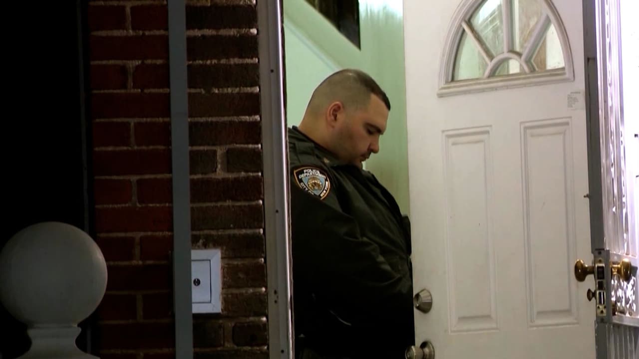 El pasado 17 de noviembre, 
<b><a href="https://www.univision.com/local/nueva-york-wxtv/nueva-york-acusan-hispano-matar-novia-e-hijo-casa-brooklyn" target="_blank">Collado presuntamente les disparó a ambos dentro de una vivienda ubicada en Louisiana Avenue</a></b>
<a href="https://www.univision.com/local/nueva-york-wxtv/nueva-york-acusan-hispano-matar-novia-e-hijo-casa-brooklyn" target="_blank">,</a> en el área de East New York, en Brooklyn