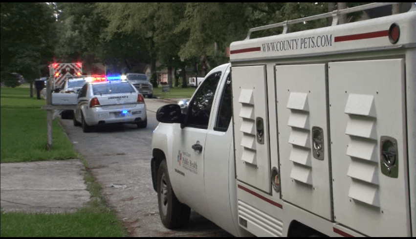 El perro fue contenido mientras que la mujer herida fue llevada al hospital.