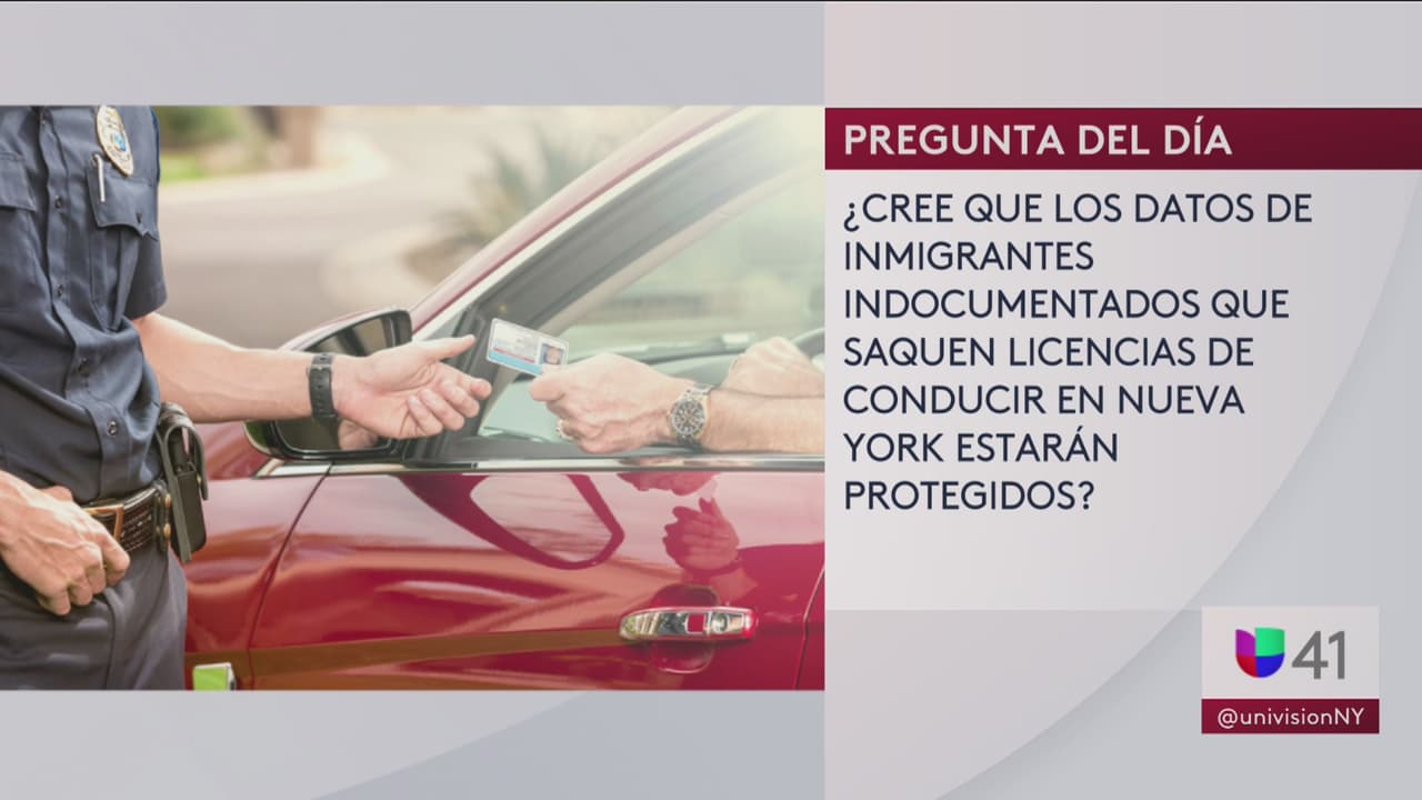 Esto es lo que opinan los neoyorquinos sobre las licencias para indocumentados
