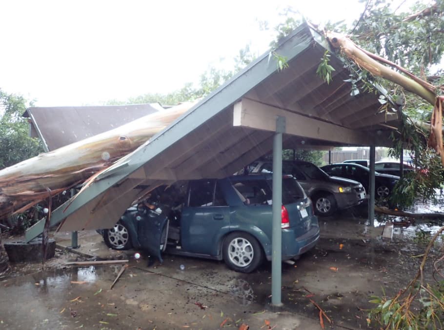 La región se vio afectada por lluvias torrenciales y fuertes ráfagas. Elementos del Departamento de Bomberos de Santa Bárbara respondieron a la zona de Goleta donde un árbol cayó sobre varios carros.