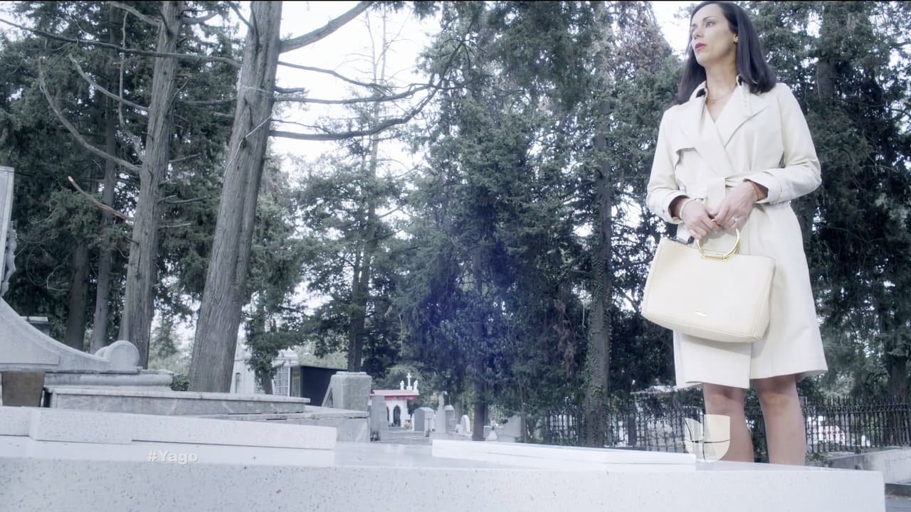 Estamos seguros que tú no querías hacerle daño.