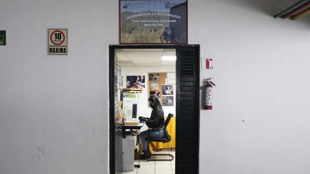 Un especialista examina muestras recolectadas de fosas clandestinas en Jalisco, que actualmente se estudian como parte de un proyecto de investigación para ayudar a encontrar personas desaparecidas en México durante décadas de violencia de los cárteles de la droga, en Guadalajara, México, el viernes 11 de julio de 2025.