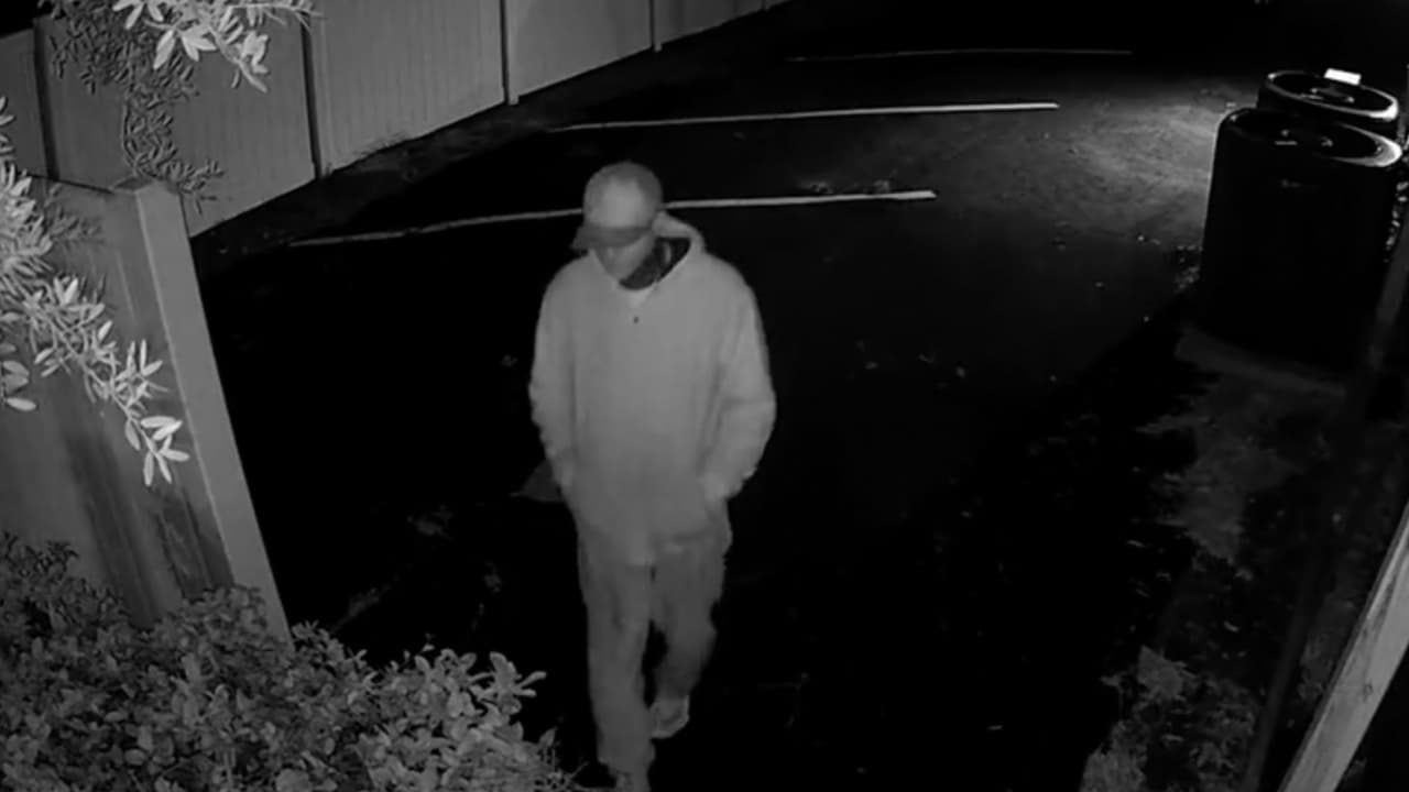 Intentó robar un Ticket Clinic y dañó el edificio, la policía de Tampa lo busca