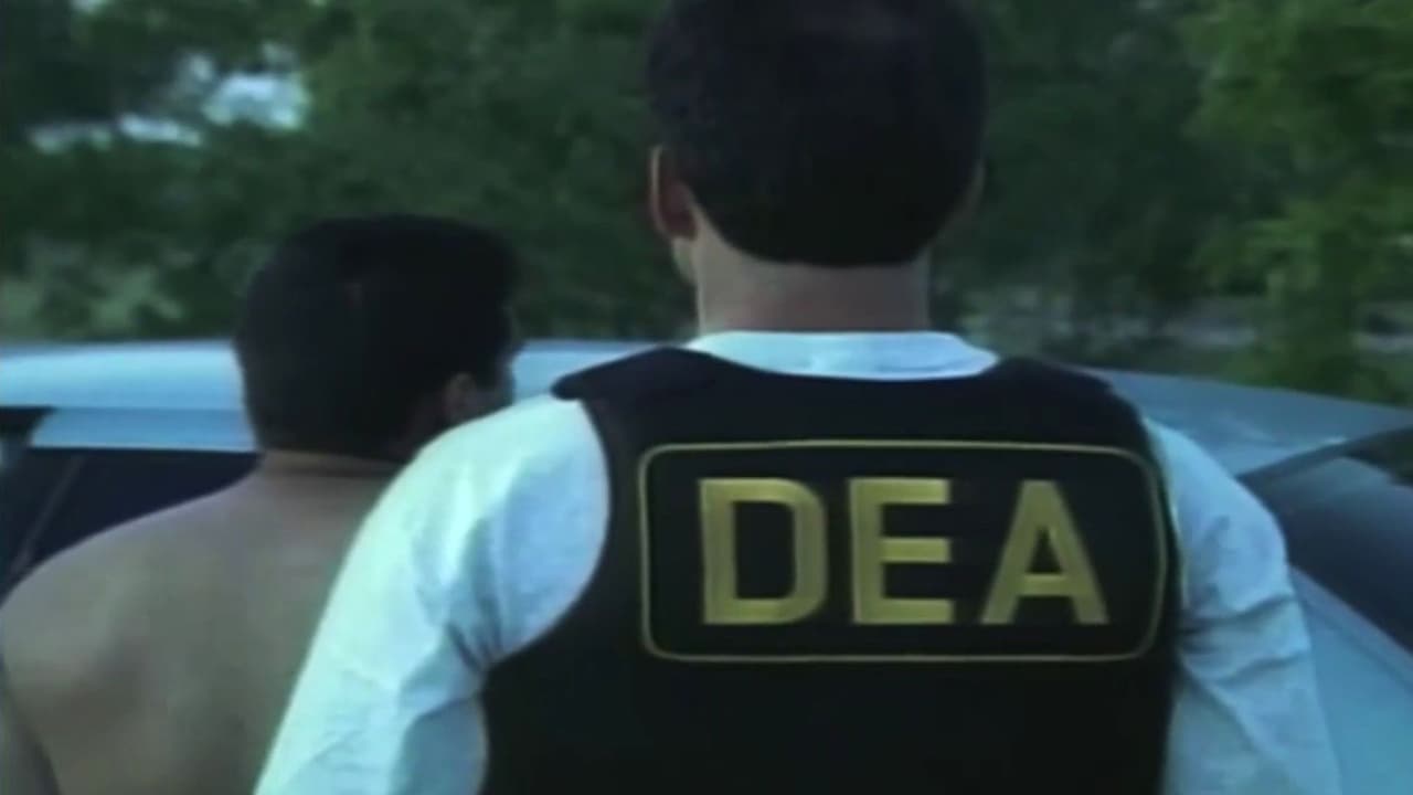 Tensión diplomática entre México y EEUU: Analista explica el impacto de las acusaciones de la DEA