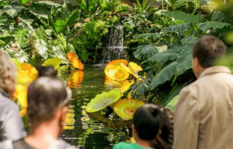 <b>Arte del paisaje bajo el cristal: </b>
<br>A menudo referido como "arte del paisaje bajo el cristal", el Garfield Park Conservatory ocupa dos acres de espacio de invernadero público y 10 acres de jardines al aire libre.