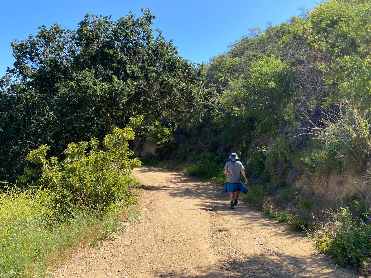 Además de las diferentes opciones para hacer ejercicio al aire libre, las bellezas naturales del paseo son únicas.
