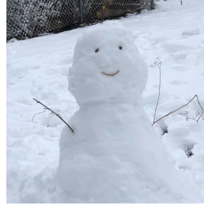 Los usuarios compartieron imágenes de sus creaciones con la nieve.