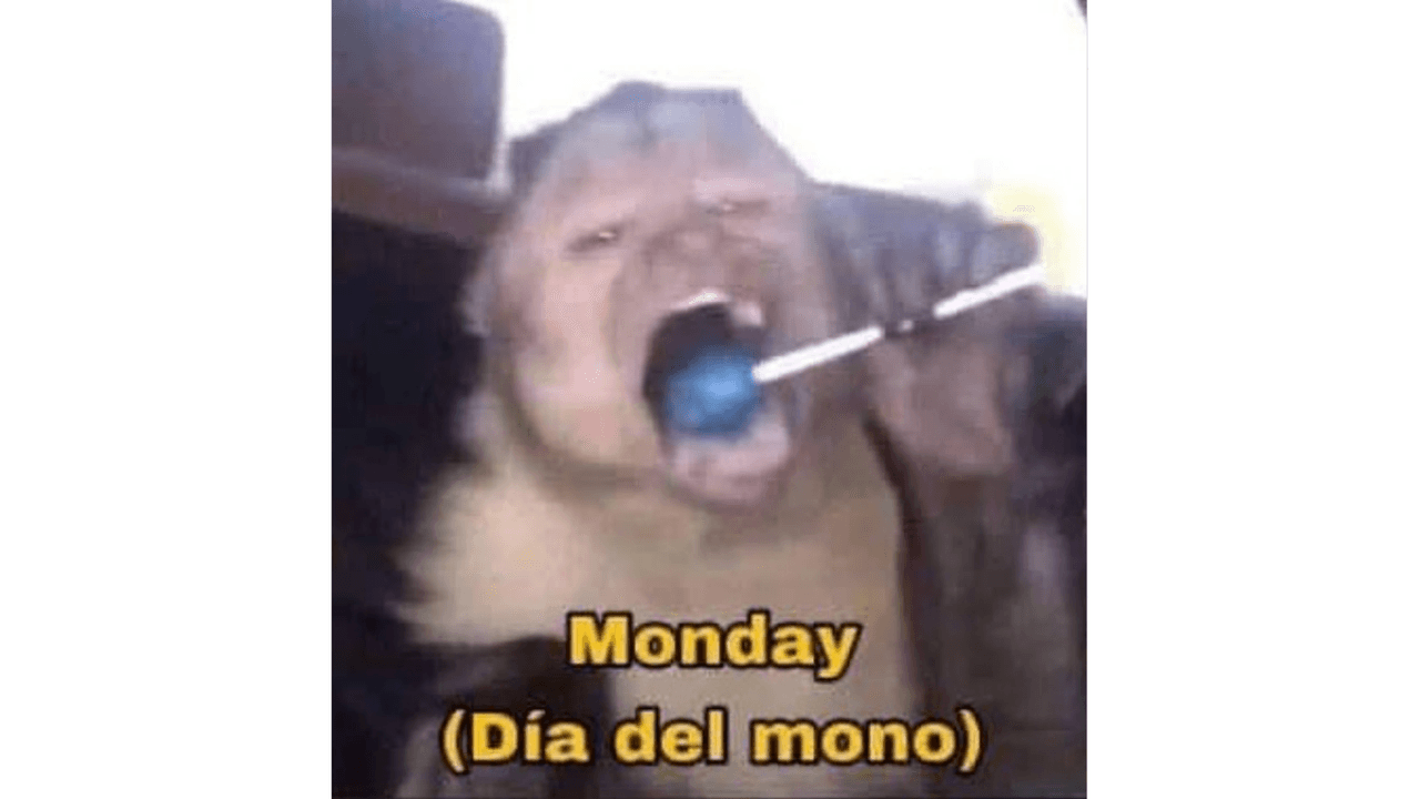 Memes para sobrevivir a los lunes