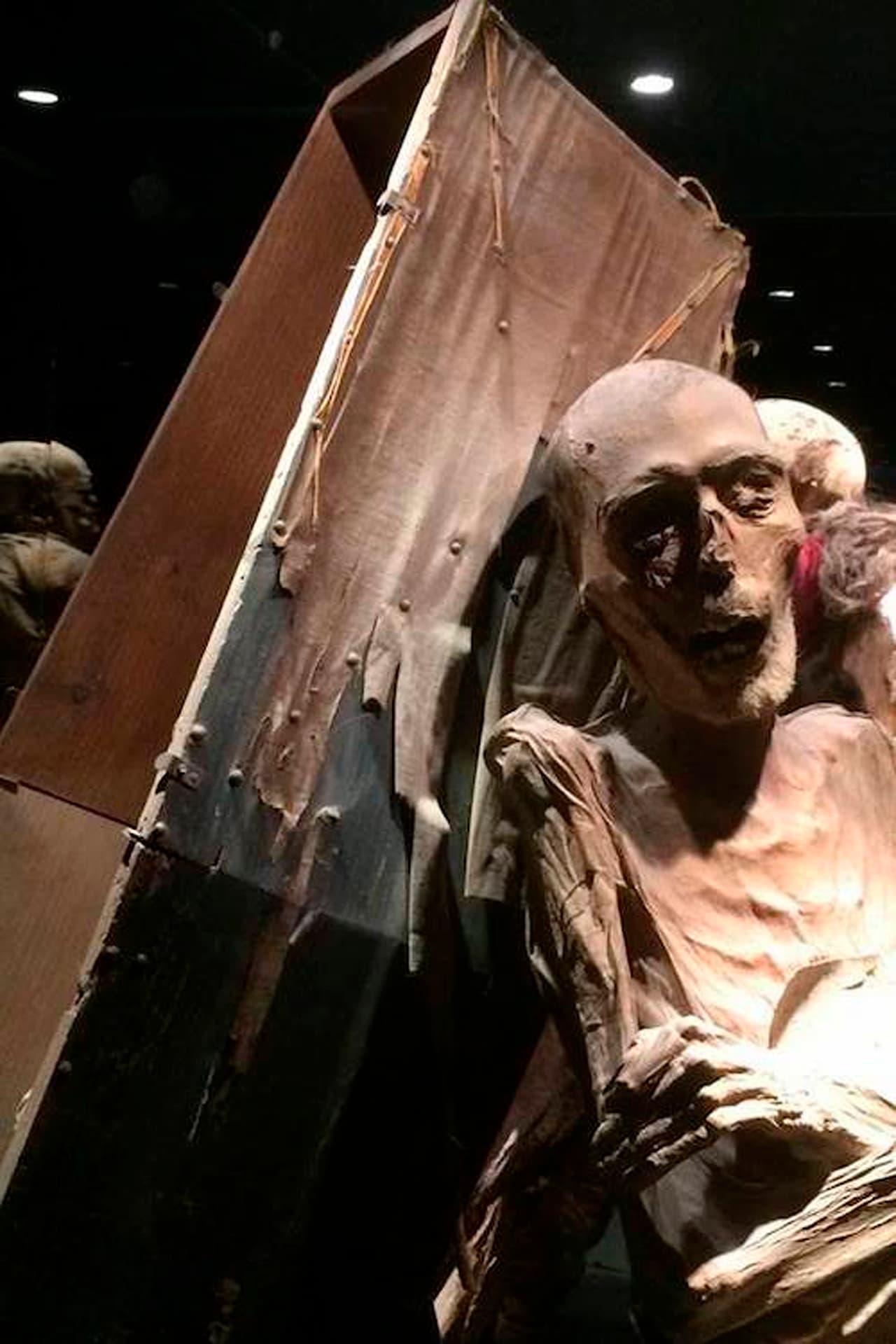 “Sería importante sensibilizar a la sociedad y a los interesados en el respeto por la dignidad y el simbolismo de los cuerpos momificados", declaró en junio pasado la Comisión Nacional de Bioética de la Secretaría de Salud de México. Afirmó que esta exposición debe atender a propósitos científicos, culturales y educativos y que debe evitar que se descontextualice y promueva el morbo.