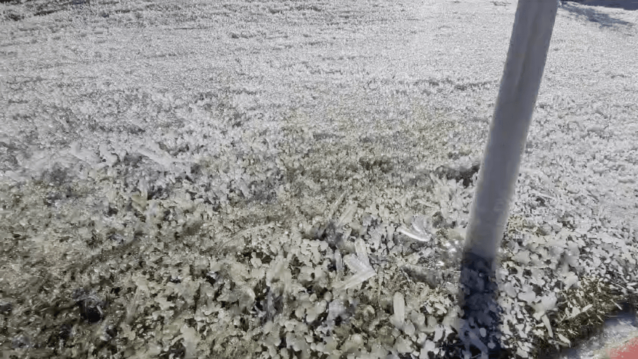 El centro de Texas tuvo una mañana congelada, luego de registrar temperaturas gélidas con el paso del frente ártico.