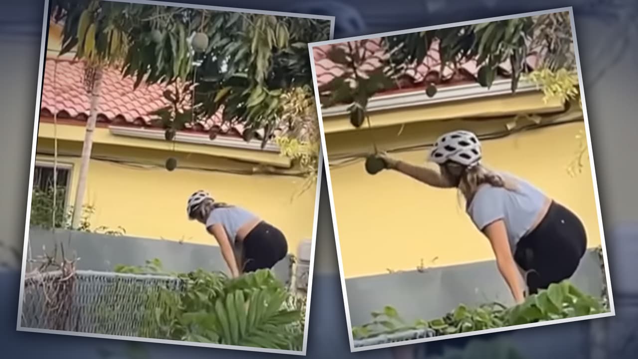 ¡Todo sea por unos mangos! Así es como mujer en Miami se lleva mangos con el uso de sus leggins