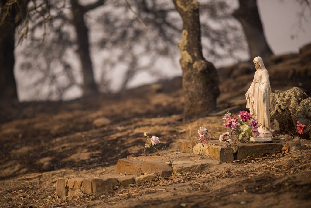 Los incendios en el norte del estado se propagaron debido a los fuertes vientos que no han dado tregua en la región.