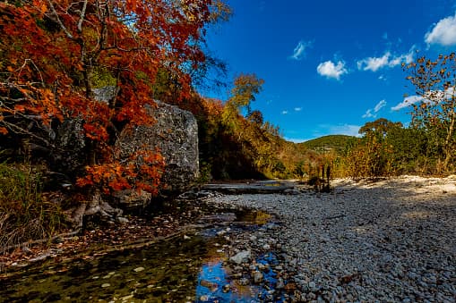 <b>Lost Maples </b> 
<br>Este parque es mejor conocido por ser uno de los mejores lugares del estado para ver el follaje de otoño. Pero es espectacular durante todo el año para observar aves y ver las estrellas. El Departamento de Parques y Vida Silvestre realiza fiestas en la noche para ver las estrellas. Puede buscar información en su página web para separar un próximo evento.