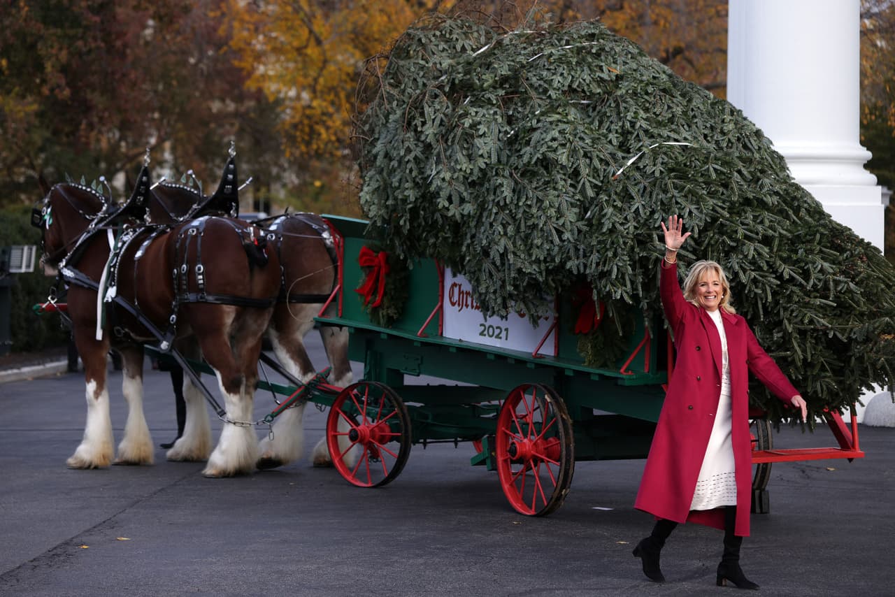 Jill Biden saluda junto a la carreta que llevó al árbol a la mansión presidencial.
<br>
<br>Este gesto marca el comienzo del proceso de decoración de la mansión, una tarea asignada a las primeras damas, y otra de las señales que indican la llegada de la temporada navideña.