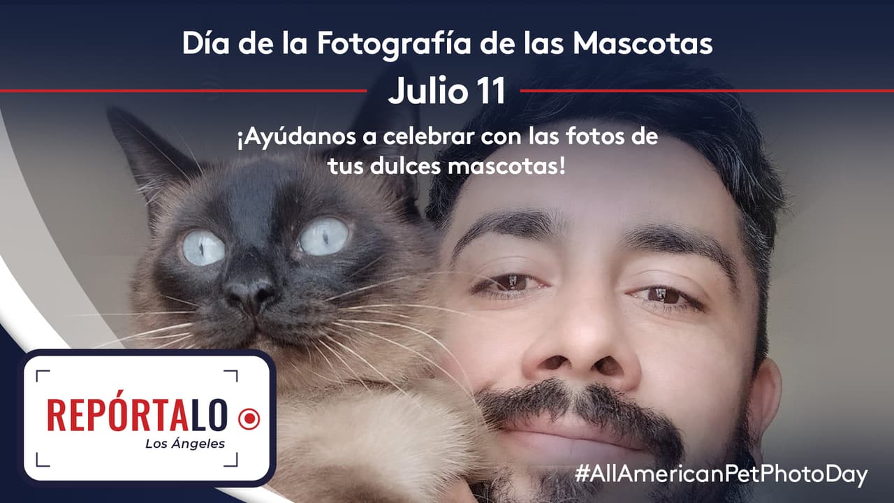 Comparte con Repórtalo Los Ángeles las fotos y videos de tus mascotas