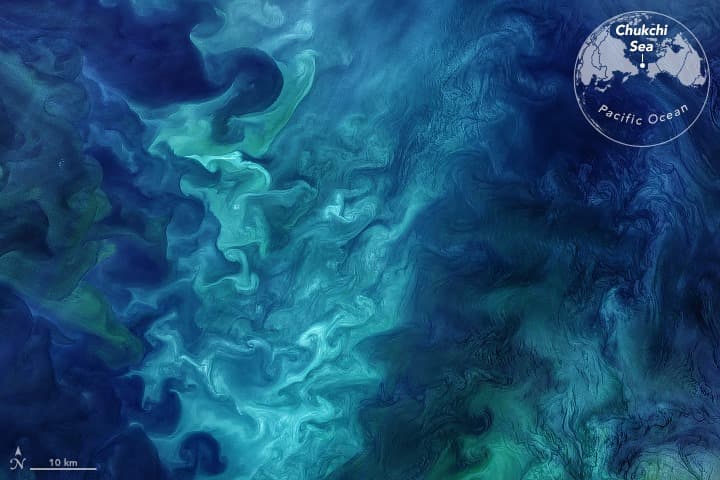 <b>Compra productos eficientes </b>
<br>Hoy en día hay muchas opciones en el mercado de aparatos y electrodomésticos que consumen menos energía. Una respuesta inteligente que está contribuyendo a cuidar nuestro planeta.
<br>
<br>Océano Pacífico