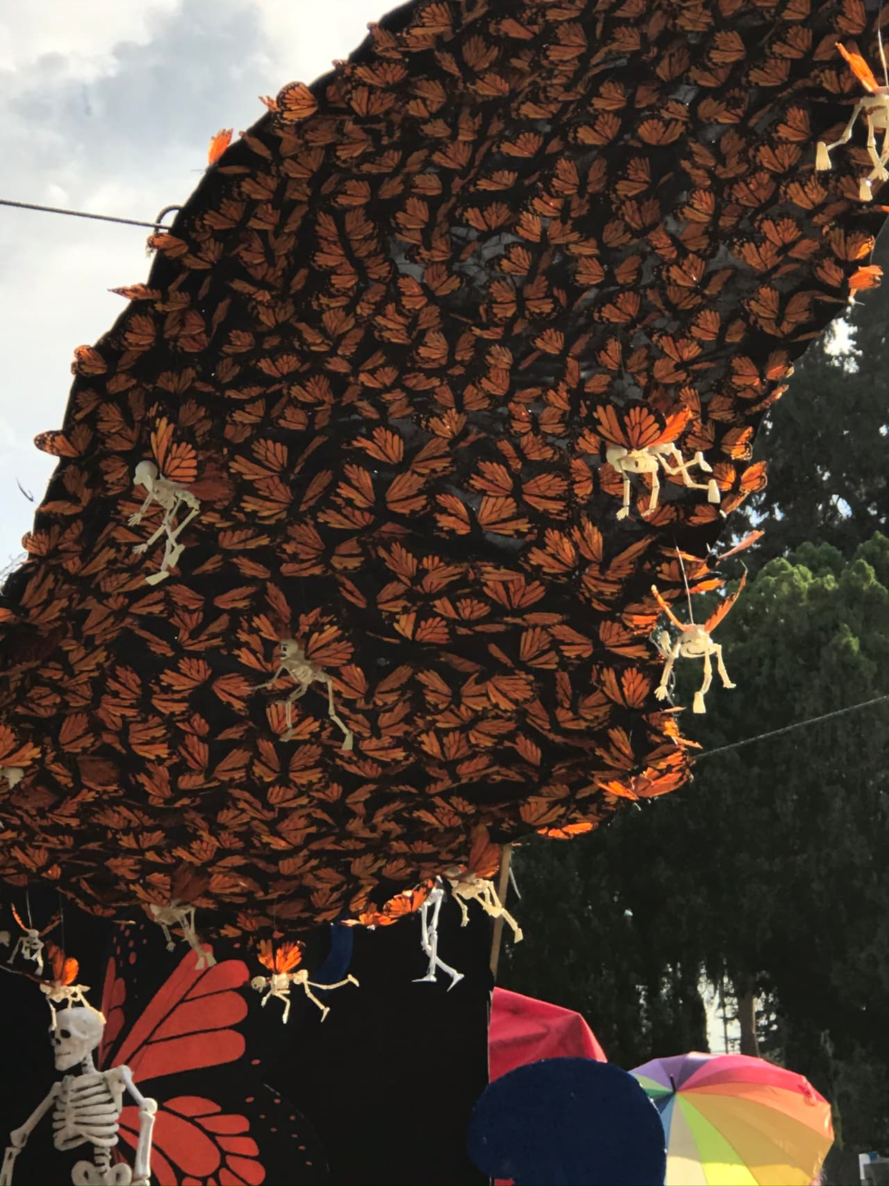 De acuerdo con la leyenda, cada una de los millones de mariposas monarcas que retornan a sus santuarios en México representan el alma de un difunto que vuelve a casa para reencontrarse con los suyos.