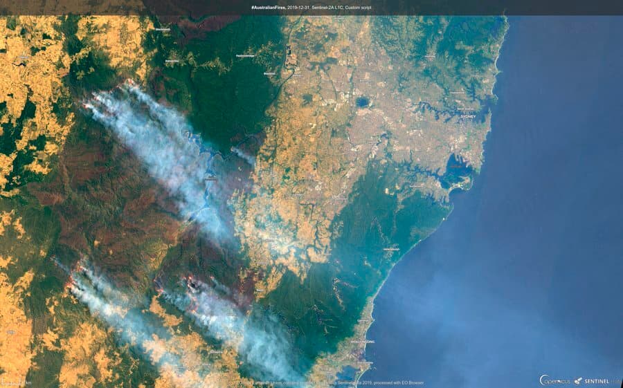 El humo visto desde el espacio alrededor de la ciudad de Sydney, al este de Australia. Los incendios también arrasan los estados de Australia Occidental, Australia Sur y Tasmania.
<a href="https://www.univision.com/noticias/medio-ambiente/las-quemaduras-empeoraron-y-no-iban-a-mejorar-muere-el-koala-que-se-hizo-viral-luego-de-ser-rescatado-del-fuego-fotos-fotos">El fuego ha consumido zonas donde habitan algunas especies vulnerables</a>.