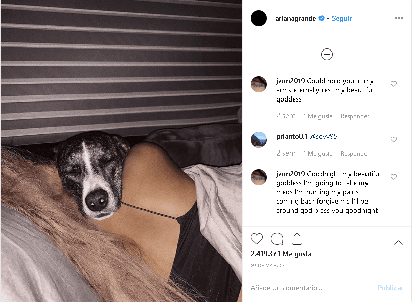 Y aunque debe estar fuera de casa muy a menudo debido a su trabajo como cantante, Ariana tiene una estrategia para sentirse cerca de sus perros esté donde esté.