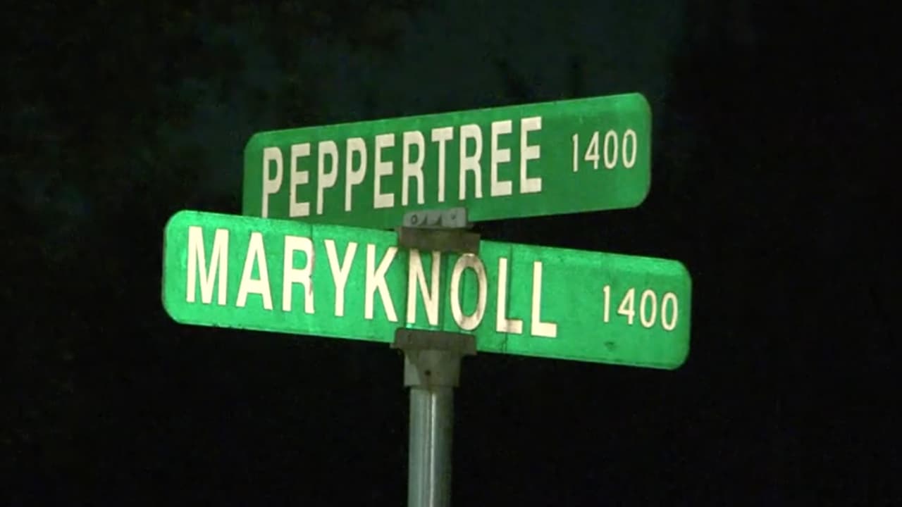 La policía cree que una mujer estaba en la camioneta con el hombre que fue
<a href="https://www.univision.com/local/houston-kxln/tiroteo-asesinato-diamond-alvarez-muertes-menores-de-edad-houston-texas">asesinado a tiros,</a> pero salió cuando comenzó el tiroteo y quedó atrapada en el fuego cruzado.