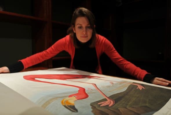 Presentado como el libro más caro del mundo, esta obra en cuatro volúmenes tenía una estimación de salida de entre cuatro y seis millones de libras.