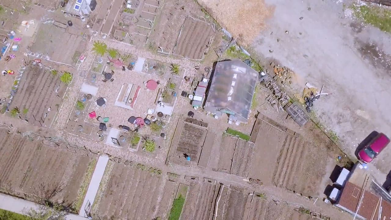 Se trata de un terreno de más de un acre. De acuerdo con el organizador de Justicia Alimentaria de Ivejo, Sergio Ruiz, el emprendimiento funcionará como una cooperativa.