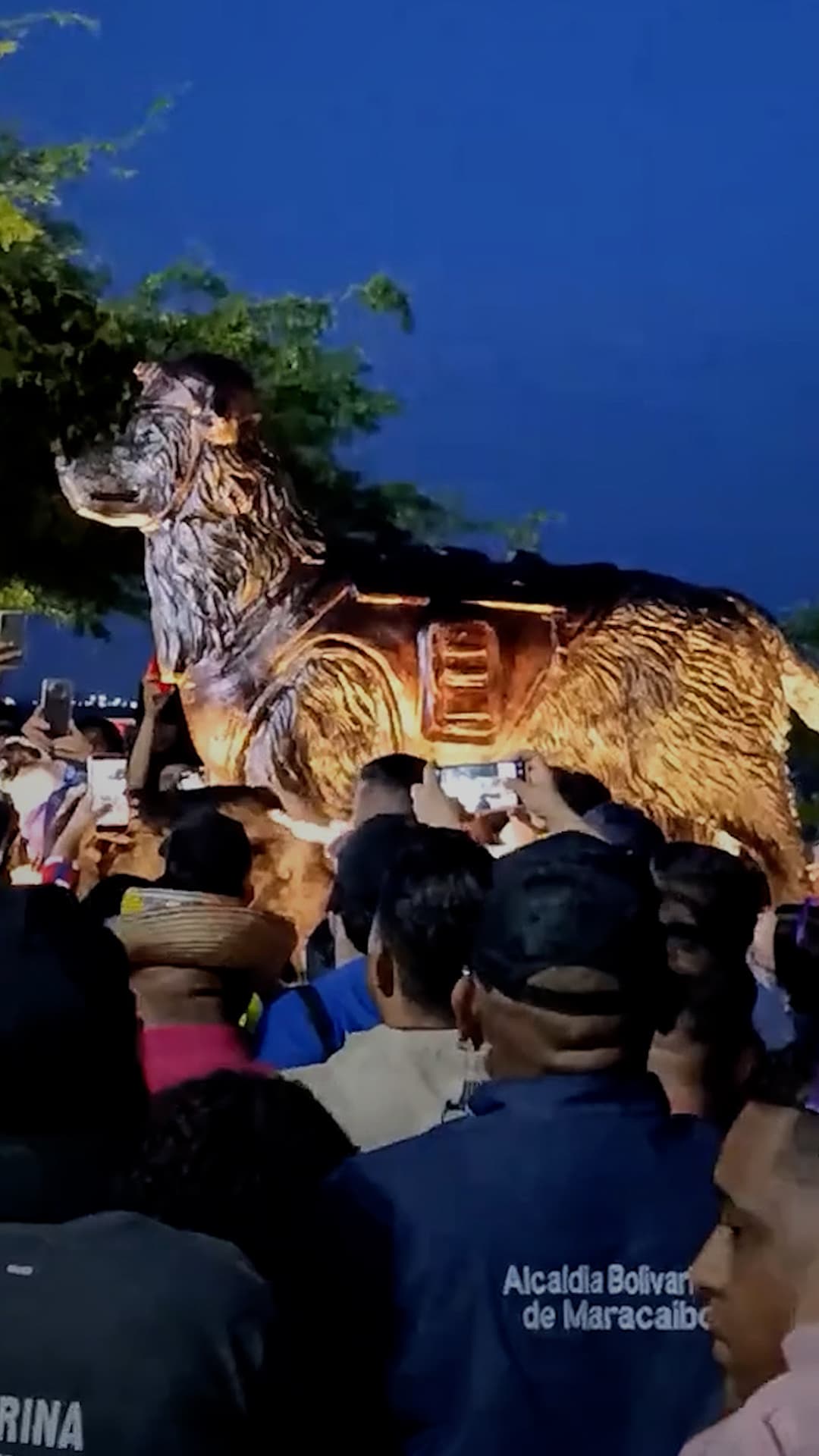 Rinden homenaje a Tsunami, un perro rescatista en Venezuela