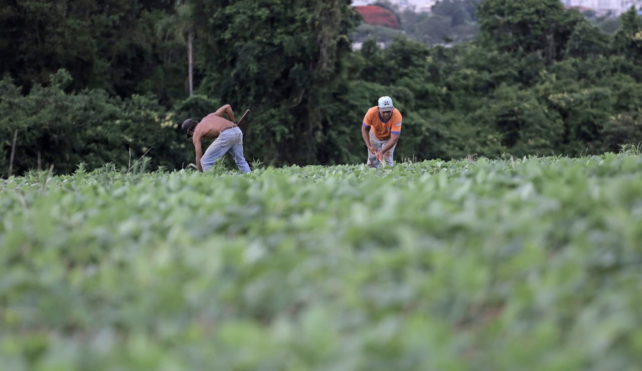 El estudio comparó las edades de los emprendedores cuando comenzaron sus negocios en las 50 áreas metropolitanas más grandes de Estados Unidos. Para compilar el informe, LendingTree utilizó datos anónimos de 
<a href="https://www.lendingtree.com/business/small/places-with-the-youngest-entrepreneurs/." target="_blank">propietarios de negocios que buscaron financiación a través de su plataforma</a>.