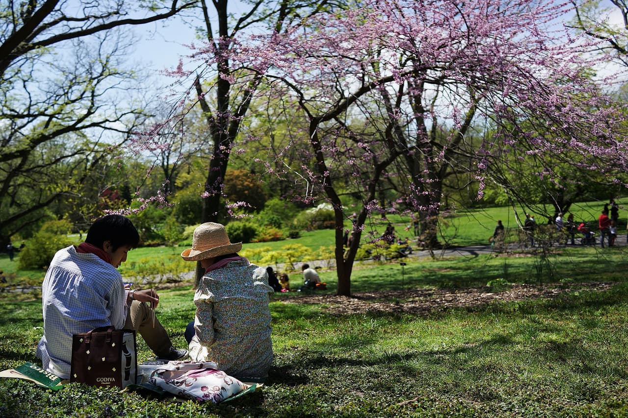 <b>Cerezos en flor</b>
<br>
<br>Sin duda, los cerezos en flor son de las atracciones más populares en la ciudad. Los mejores sitios para verlos son los jardínes botánicos, como el Brooklyn Botanical Garden que celebra el Sakura Matsuri Festival el 27 y 28 de abril. El Queens Botanical Garden y el New York Botanical Garden en El Bronx también son buenas opciones. El 13 de abril también se puede gozar del fenomeno en Roosevelt Island.